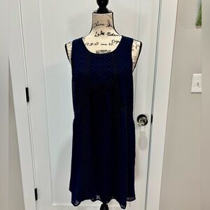 Daniel Rainn Navy Dress with Swiss Dots and Crocheted Detail.